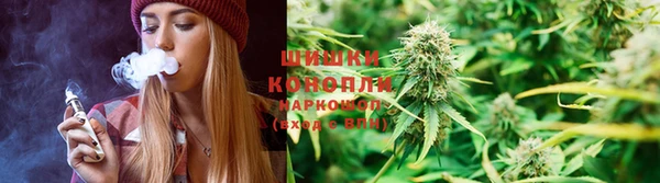 герыч Новокубанск