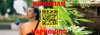 гидра Беслан