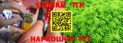 гидра Беслан