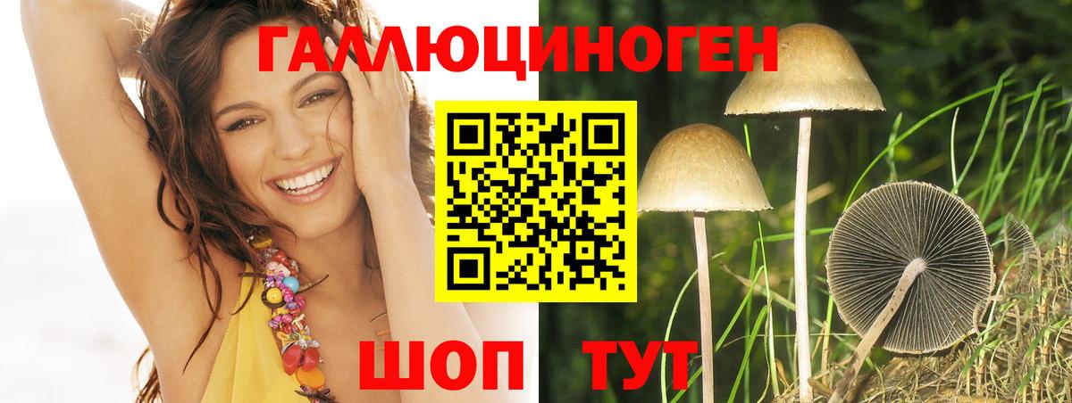 Галлюциногенные грибы Cubensis  Вход с VPN  купить   Йошкар-Ола 
